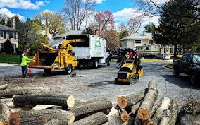 How Our Tree Care Process Works  in  Gretna, NE