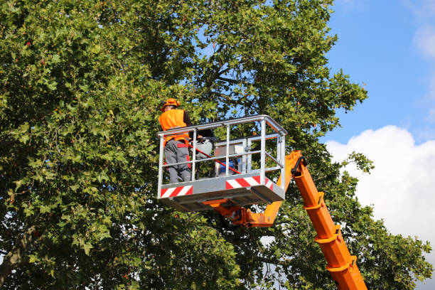 Best Aeration Services  in Gretna, NE